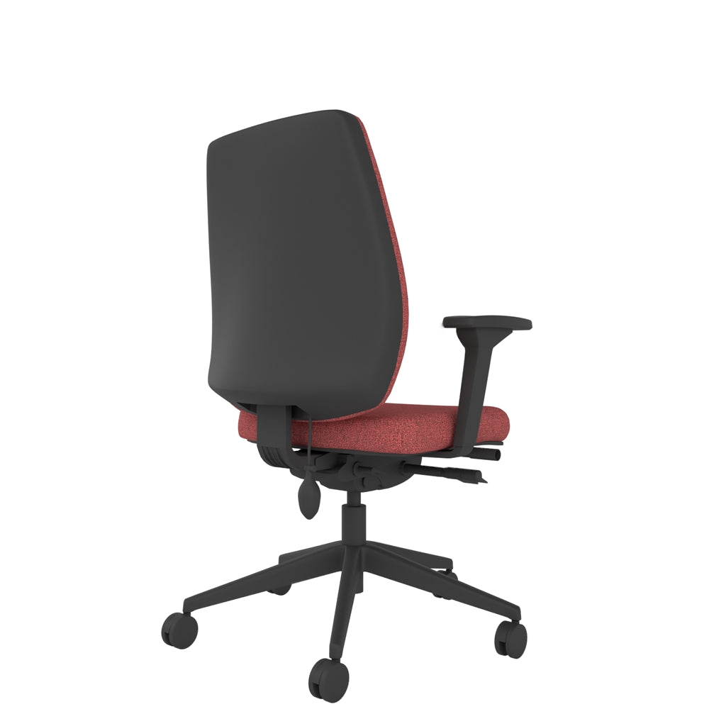 Insight You Ergonomic Chair