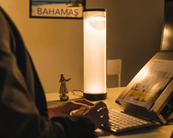 Bakker Elkhuizen EnergyByLight Wellness Light