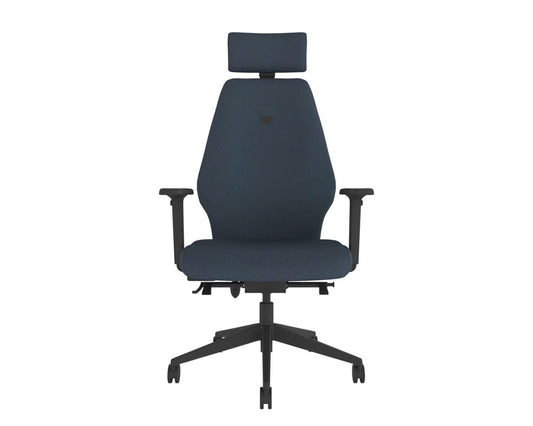 High back ergonomic chair with headrest