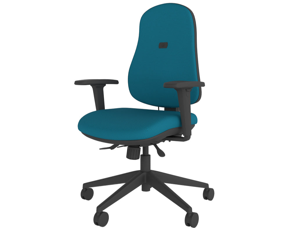 Insight Intro Orthopaedic Ergonomic Chair