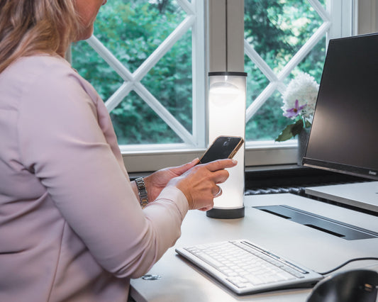 BakkerElkhuizen Wellness Desk Lamp