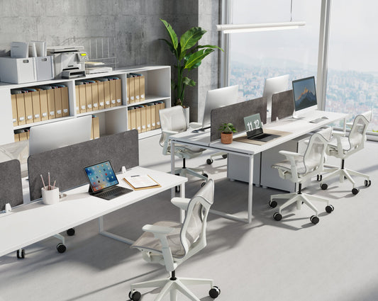 EcoEdge Desk Screen