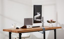 Novara Plus Monitor Arm