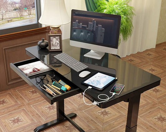 Luna Home Electric Height Adjustable Desk