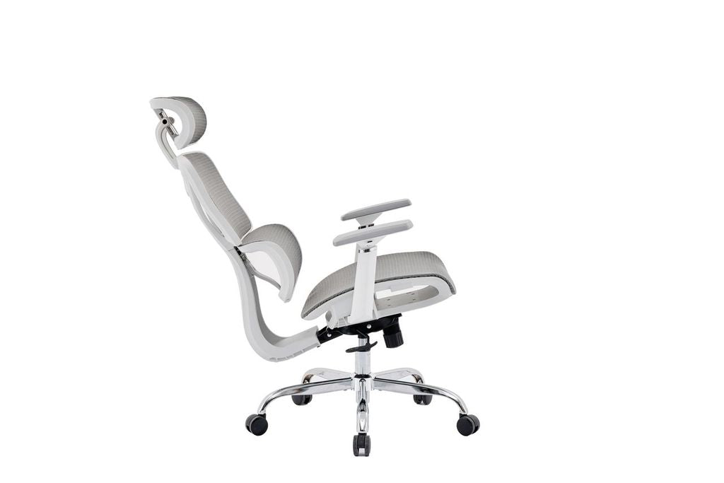 Emantis Aires Ergonomic Mesh Office Chair