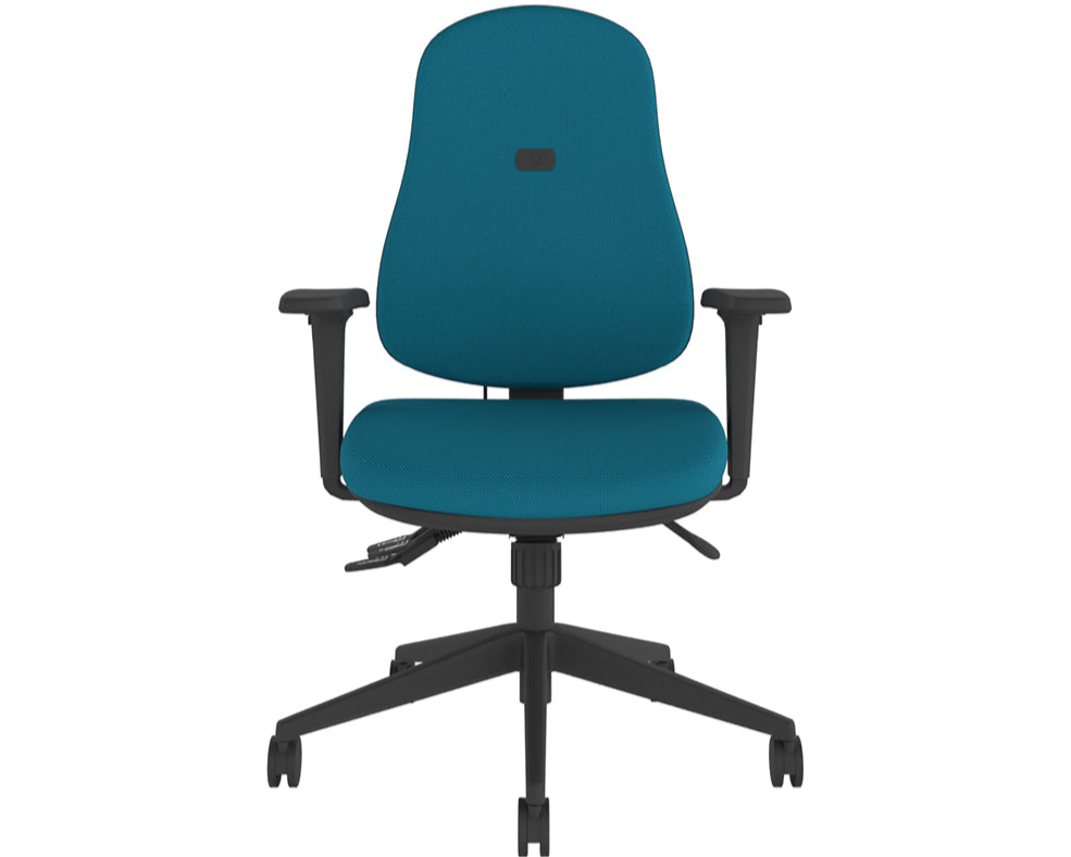 Insight Intro Orthopaedic Ergonomic Task Chair – Insight Ergonomics